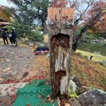 名勝玄宮楽々園高橋架替工事